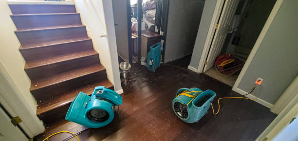 Best Local water damage restoration  in Amherst, TX
