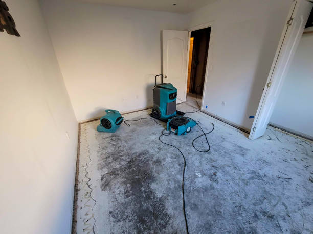 Best Professional water damage repair  in Amherst, TX