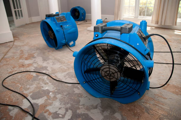 Best Fire Damage Restoration  in Amherst, TX