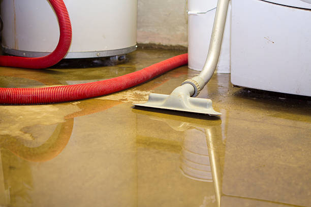Best Flooded house restoration  in Amherst, TX