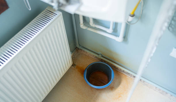 Best Carpet water damage restoration  in Amherst, TX